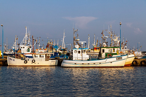 Port rybacki, Władysławowo