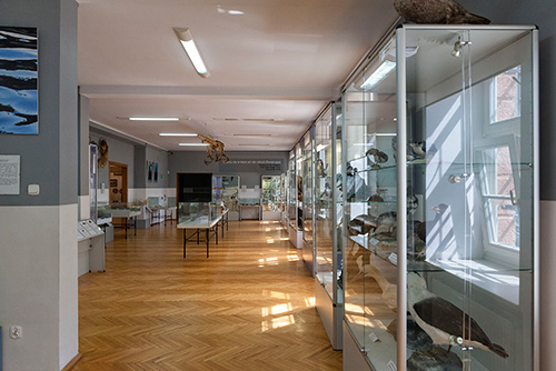 Świnoujście Muzeum Morskie